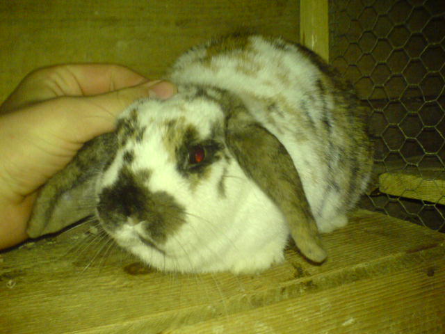 DSC00363.JPG