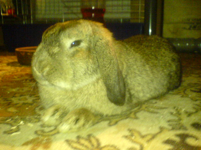 DSC00406.JPG