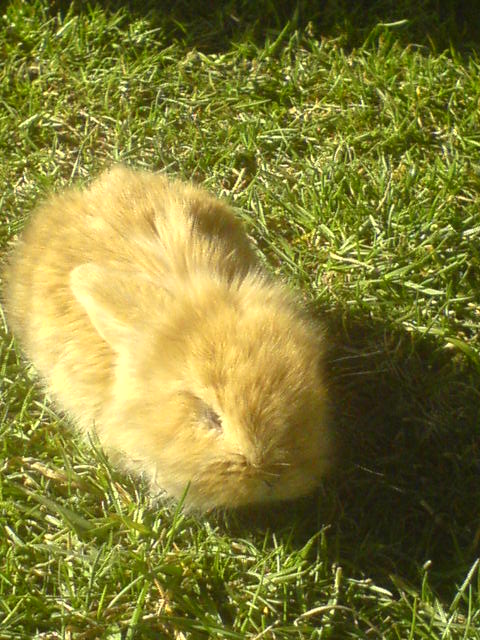 Otočit o DSC00658.JPG