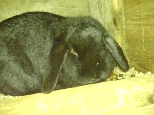 DSC00304.JPG